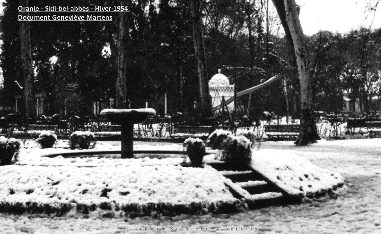 Sidi bel abbes hiver 1954  (4) de Genevieve Martens.jpg